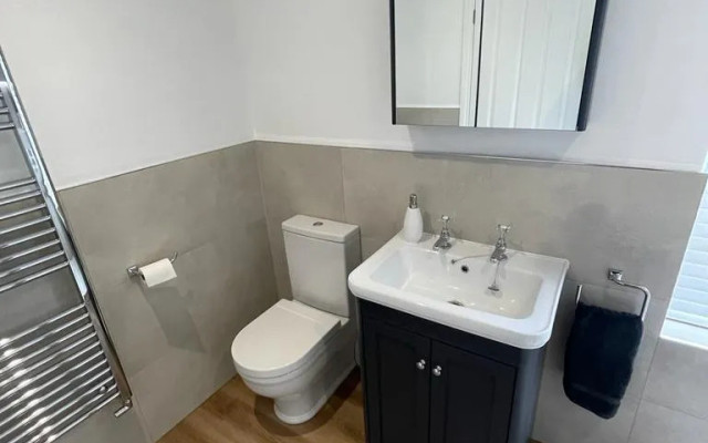 Ipswich Plumb Store - Mirrored cabinet, vanity unit and toilet